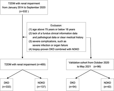 Potential Role of the Renal Arterial Resistance Index in the Differential Diagnosis of Diabetic Kidney Disease